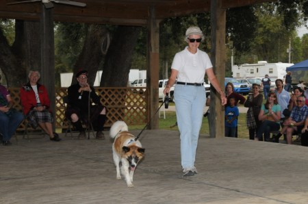 Brenda and Max compete in the dog show